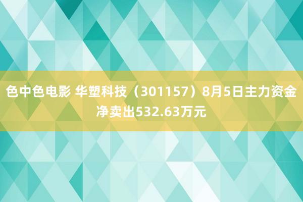 色中色电影 华塑科技（301157）8月5日主力资金净卖出532.63万元