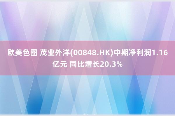 欧美色图 茂业外洋(00848.HK)中期净利润1.16亿元 同比增长20.3%