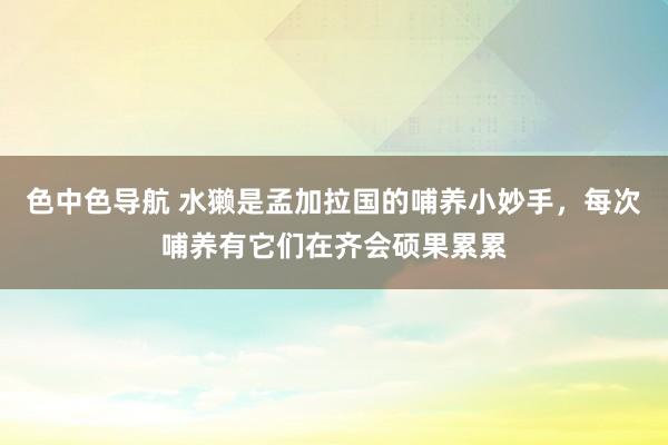 色中色导航 水獭是孟加拉国的哺养小妙手，每次哺养有它们在齐会硕果累累