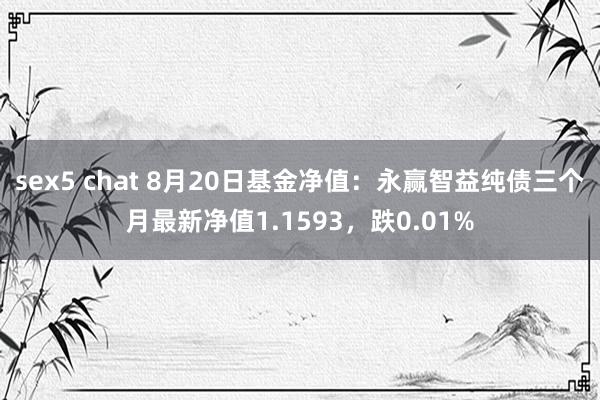 sex5 chat 8月20日基金净值：永赢智益纯债三个月最新净值1.1593，跌0.01%