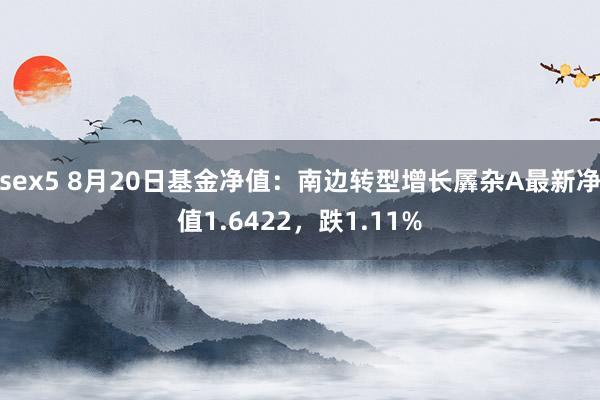 sex5 8月20日基金净值：南边转型增长羼杂A最新净值1.6422，跌1.11%