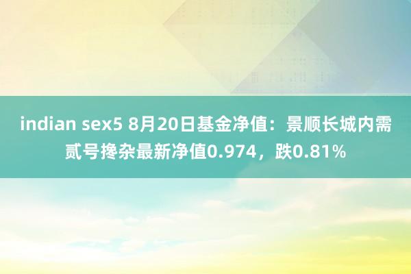 indian sex5 8月20日基金净值：景顺长城内需贰号搀杂最新净值0.974，跌0.81%