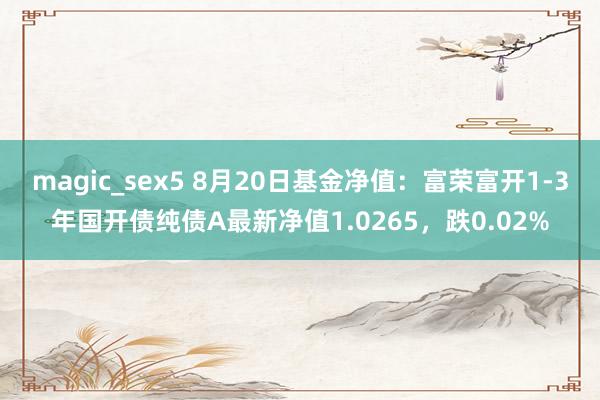 magic_sex5 8月20日基金净值：富荣富开1-3年国开债纯债A最新净值1.0265，跌0.02%