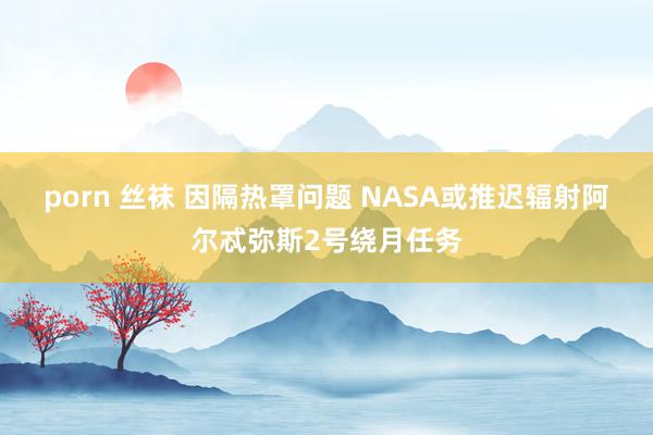 porn 丝袜 因隔热罩问题 NASA或推迟辐射阿尔忒弥斯2号绕月任务